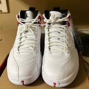 Air Jordan 12 retro
